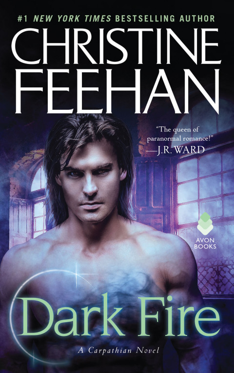 Cover image for book Dark Fire