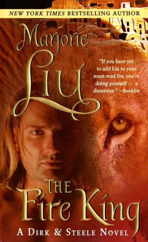 Cover image for book The Fire King
