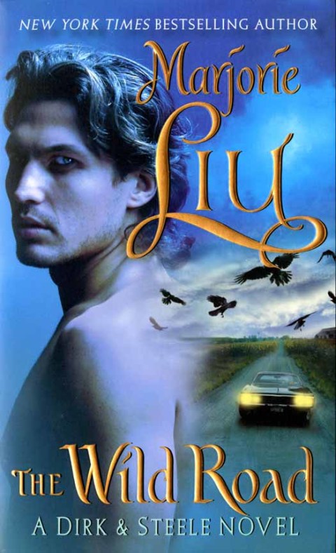 Cover image for book The Wild Road
