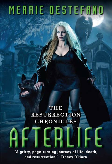 Cover image for book Afterlife