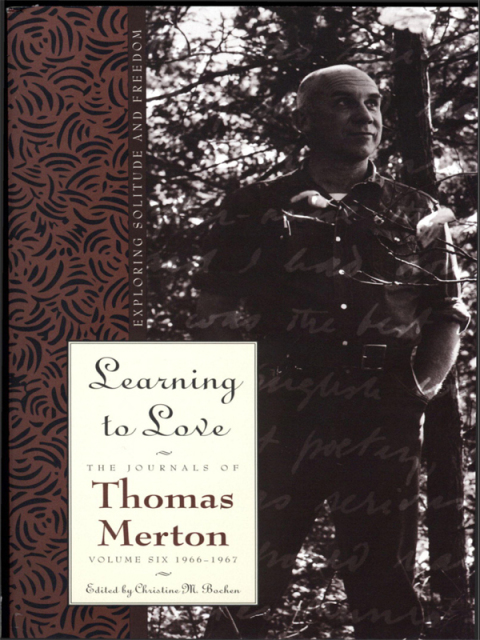 Cover image for book Learning To Love