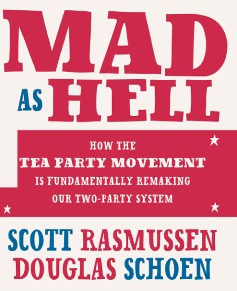 Cover image for book Mad As Hell