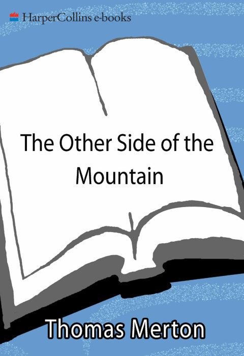 Cover image for book The Other Side of the Mountain