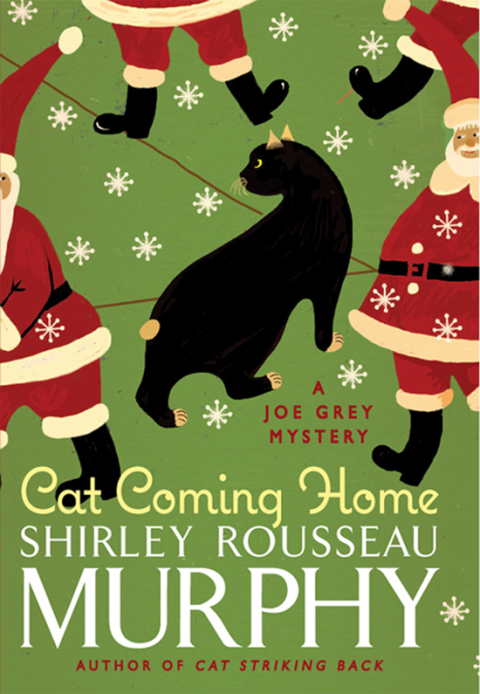 Cover image for book Cat Coming Home