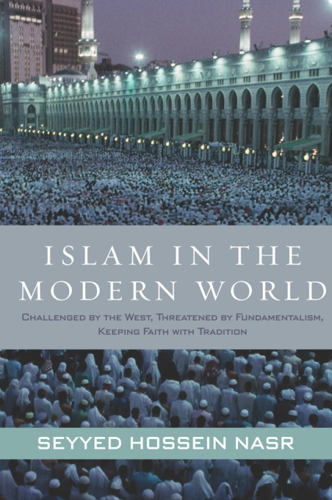 Cover image for book Islam in the Modern World