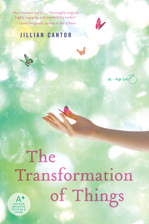 Cover image for book The Transformation of Things