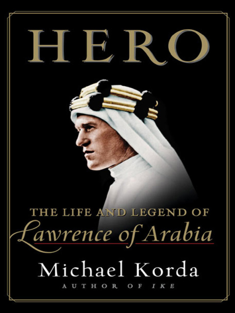 Cover image for book Hero