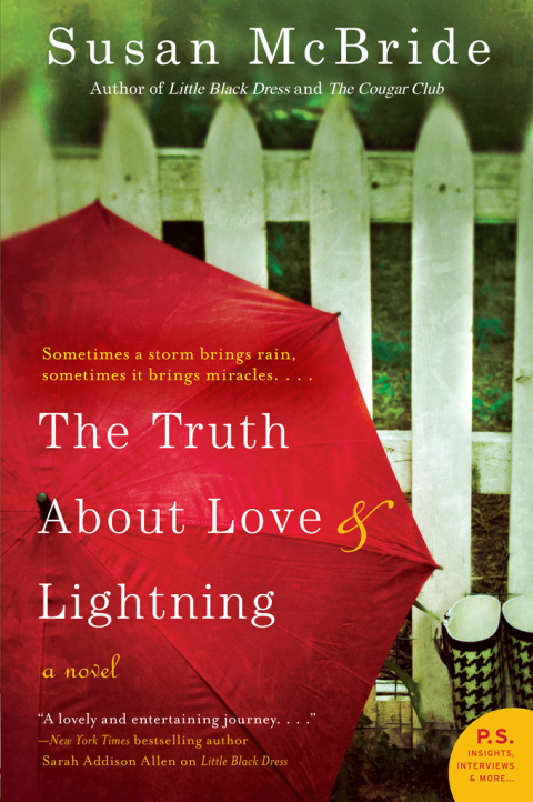Cover image for book The Truth About Love and Lightning