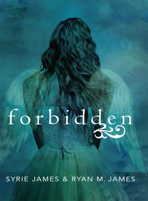Cover image for book Forbidden