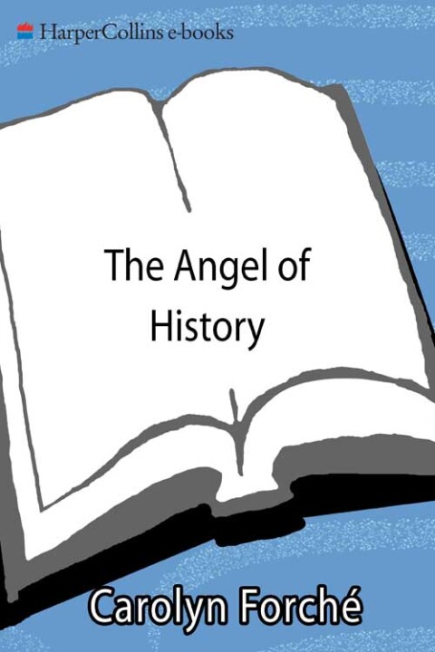 Cover image for book The Angel of History