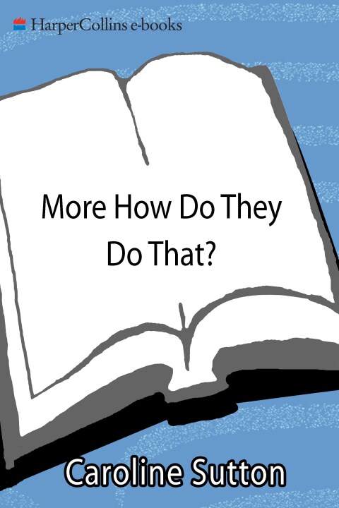 Cover image for book More How Do They Do That?