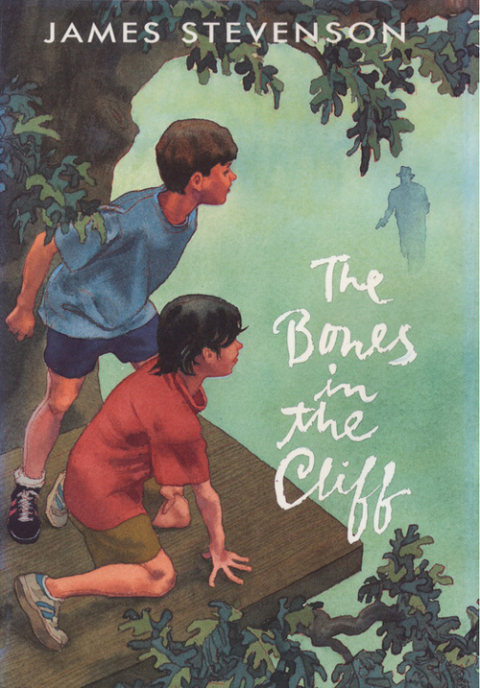 Cover image for book The Bones in the Cliff