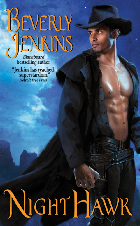 Cover image for book Night Hawk