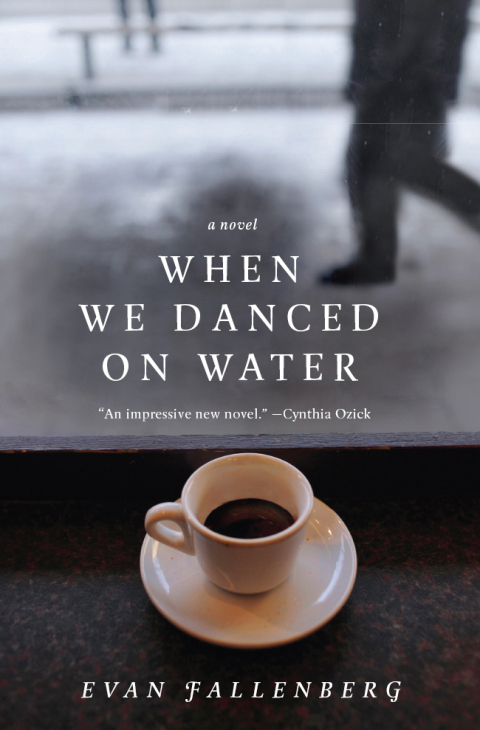 Cover image for book When We Danced on Water