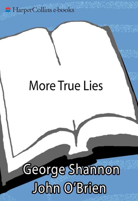Cover image for book More True Lies