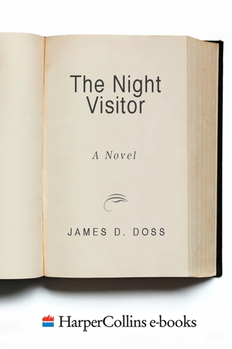 Cover image for book The Night Visitor