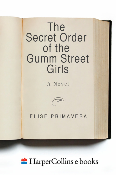 Cover image for book The Secret Order of the Gumm Street Girls