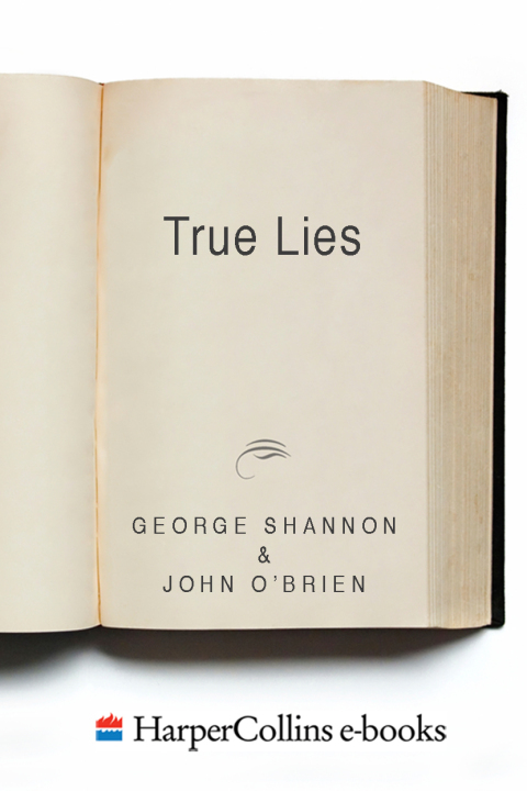 Cover image for book True Lies