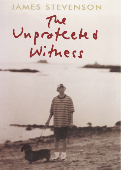 Cover image for book The Unprotected Witness