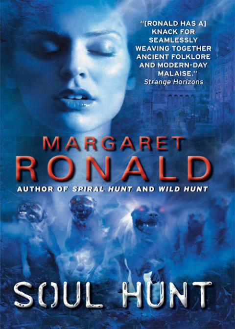 Cover image for book Soul Hunt
