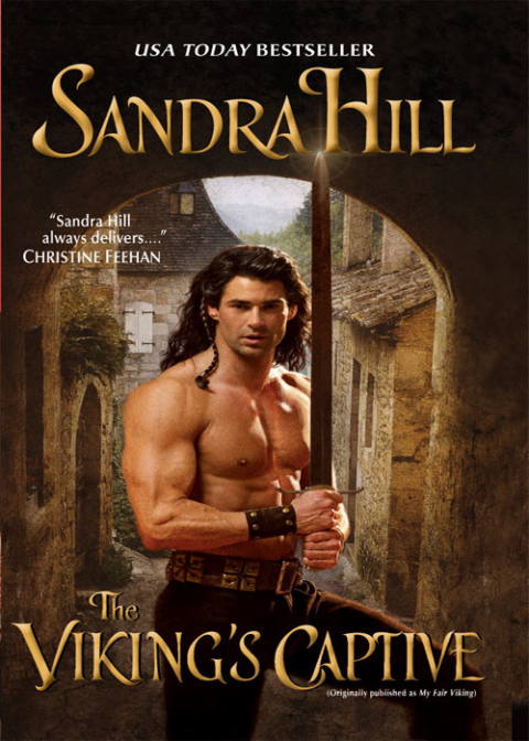 Cover image for book The Viking's Captive