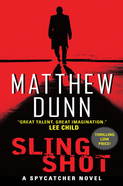 Cover image for book Slingshot