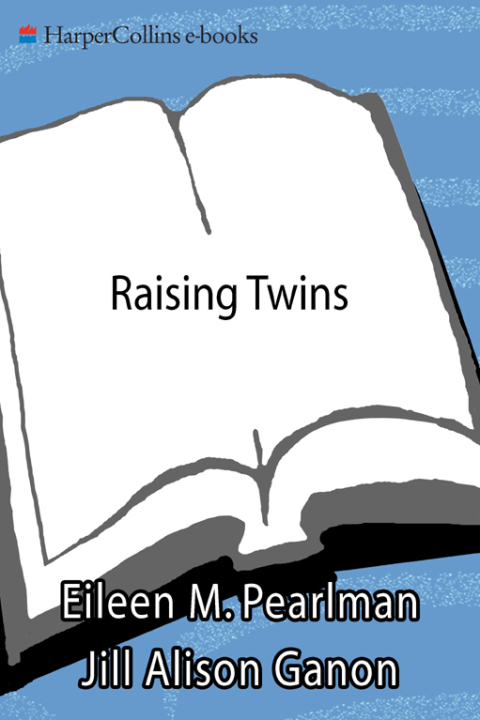 Cover image for book Raising Twins