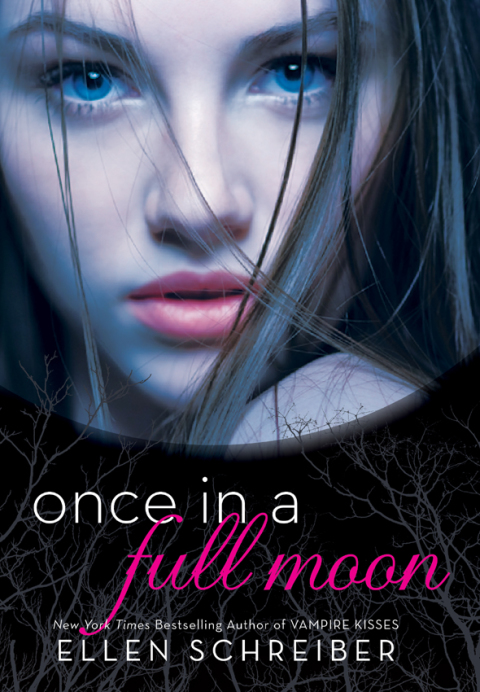 Cover image for book Once in a Full Moon