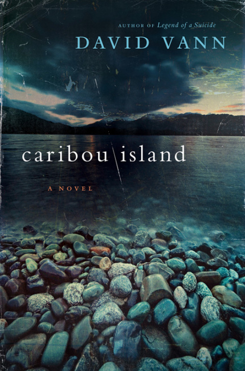Cover image for book Caribou Island
