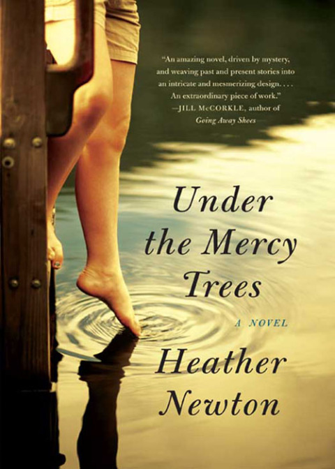 Cover image for book Under the Mercy Trees