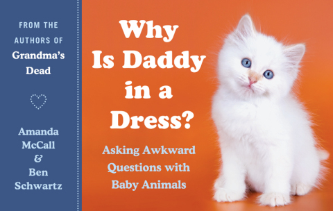 Cover image for book Why Is Daddy in a Dress?