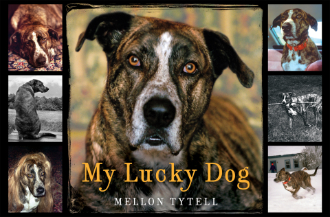 Cover image for book My Lucky Dog