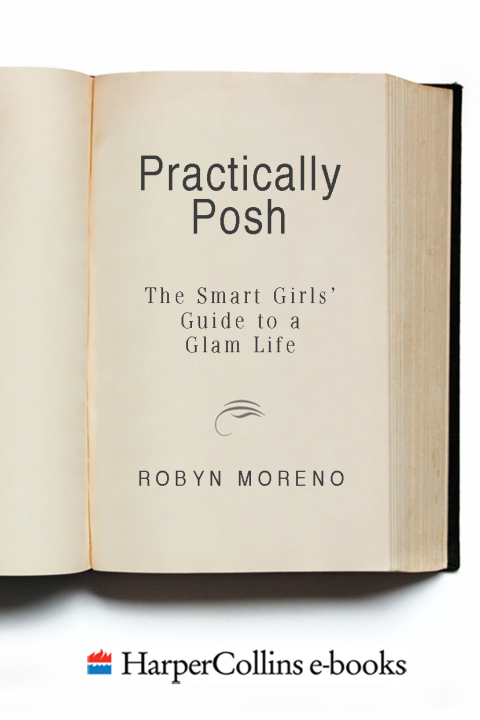 Cover image for book Practically Posh