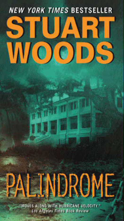 Cover image for book Palindrome