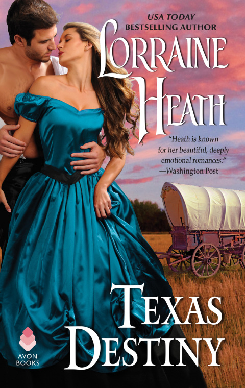 Cover image for book Texas Destiny