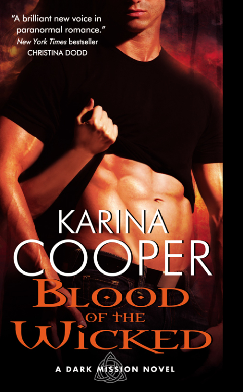 Cover image for book Blood of the Wicked