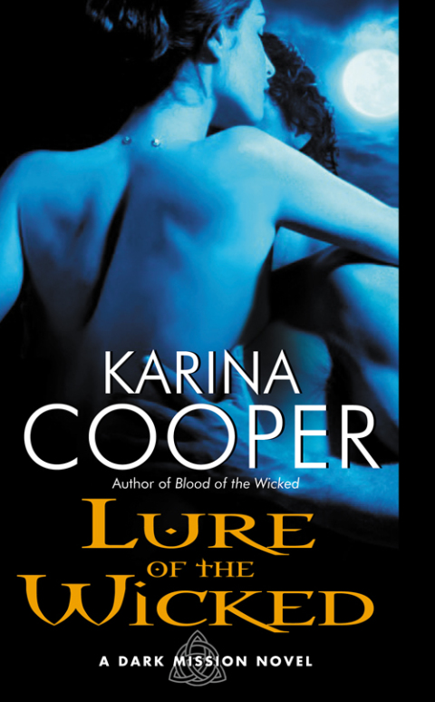 Cover image for book Lure of the Wicked