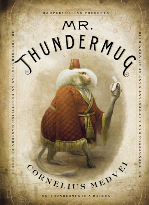 Cover image for book Mr. Thundermug