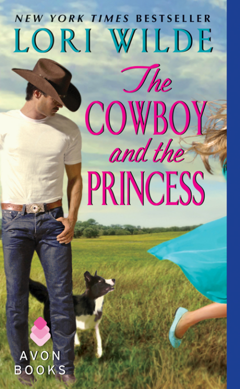 Cover image for book The Cowboy and the Princess