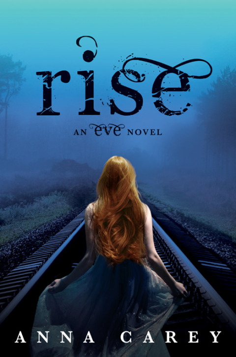 Cover image for book Rise