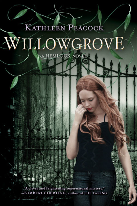 Cover image for book Willowgrove