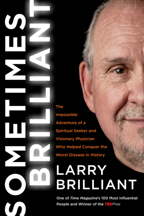 Cover image for book Sometimes Brilliant