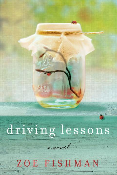 Cover image for book Driving Lessons
