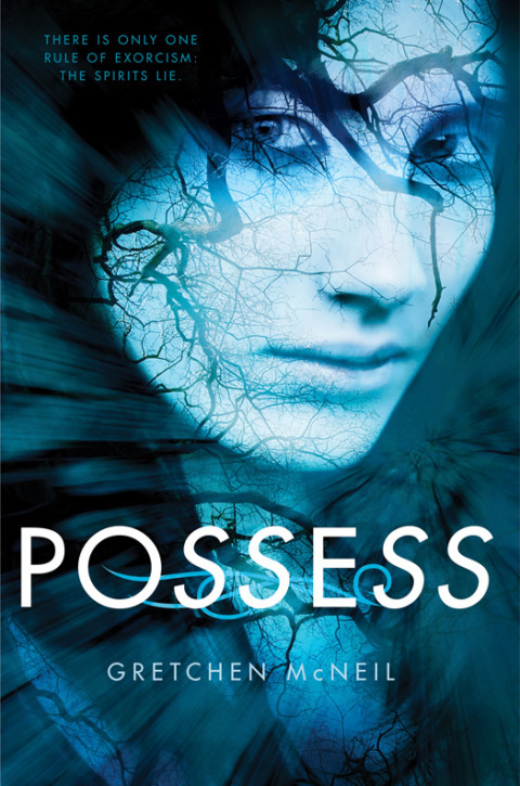 Cover image for book Possess