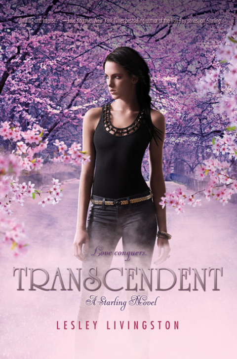 Cover image for book Transcendent