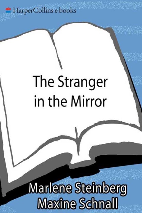 Cover image for book The Stranger in the Mirror
