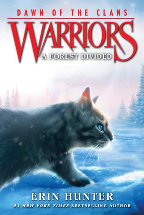 Cover image for book Warriors: Dawn of the Clans #5: A Forest Divided