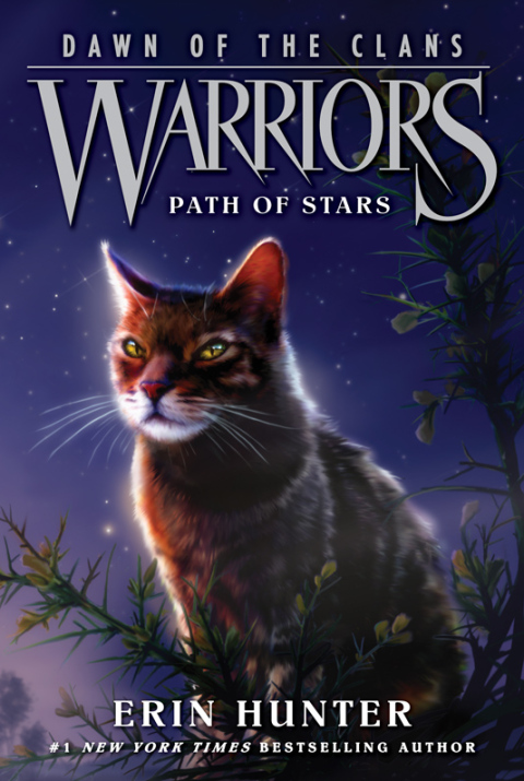 Cover image for book Warriors: Dawn of the Clans #6: Path of Stars