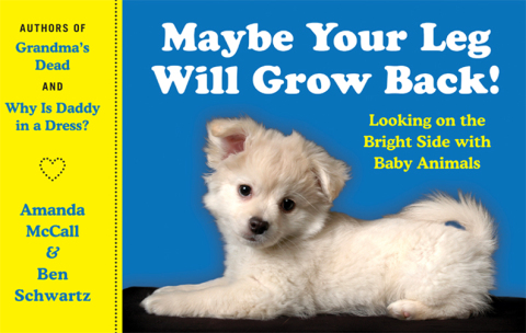 Cover image for book Maybe Your Leg Will Grow Back!