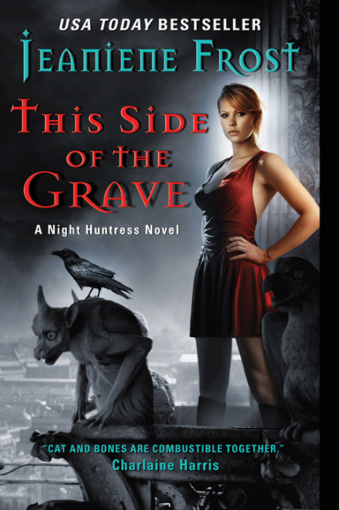 Cover image for book This Side of the Grave